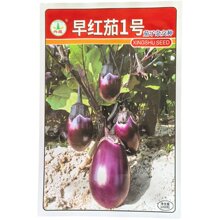 �d����t��1̖ �Ϲ����ӷN���߲˷N�������ϼt�A�����r���ѹ��߲�