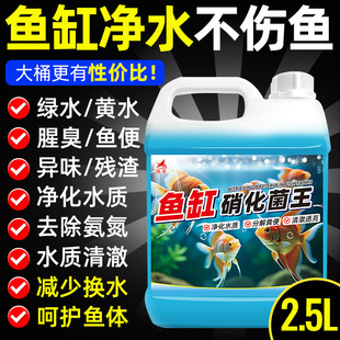 ���������~��ˮ�|�������Ä����������~���~�����_���Bˮ�~�׾S�o