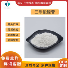 三磷酸腺苷99% ATP腺嘌呤核苷三磷酸 56-65-5 三磷酸腺苷二钠
