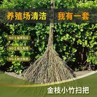 �ֹ���֦С��߰ѭh�l���ˑ������üӺ��ͥ�ߵ������ߵ��������