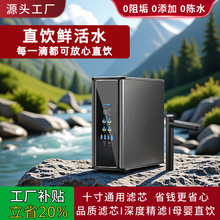 600G���������J��ˮ������ֱ�RO���B͸��C�ԁ�ˮ�^�V����ˮ�C