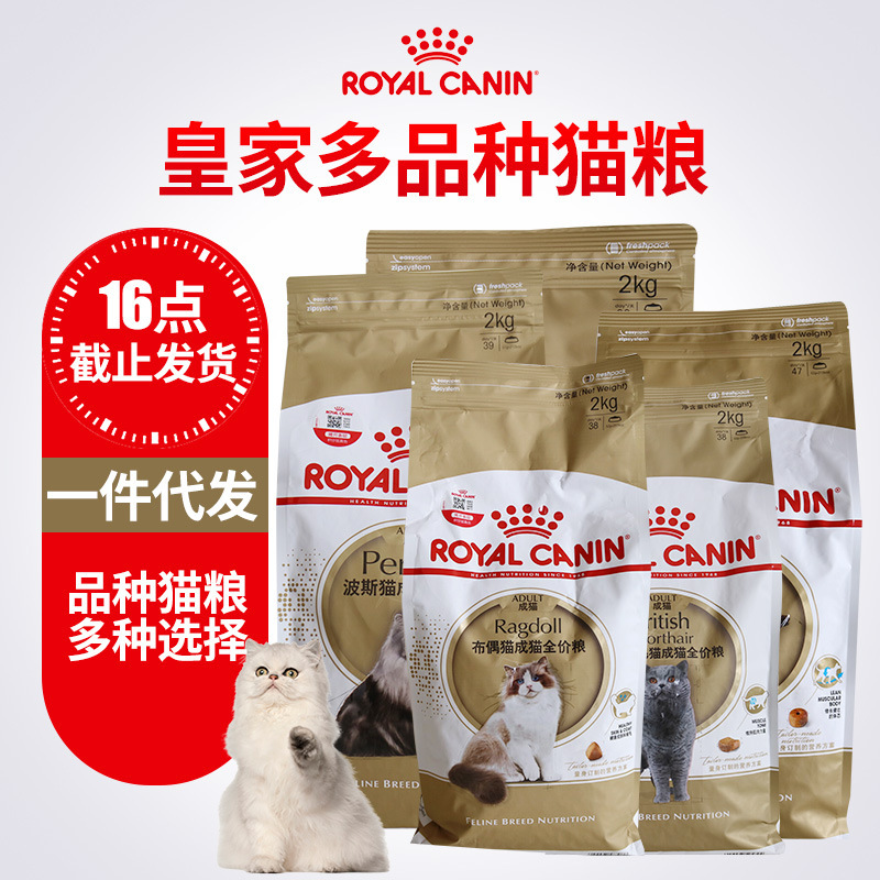 Royal American Shorthair British Persian Cat Ragdoll Adult Cat Food British Shorthair American Shorthair Cat Food 2Kg/10Kg