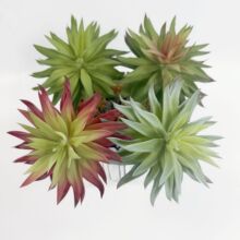 ����ٶ���ֲ�������m�����ƿ՚��΢���^�Gֲ�Ƶ�͏d�b�Ʒ����