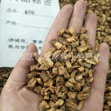 菊苣根,花茶,菊苣,另有菊苣草,产地大货批发菊苣根