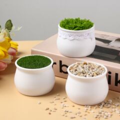 源工場クロスボーダーヨーロッパ式円形シンプル盆栽大白盆PP材質厚い転倒防止ミニプラスチック植木鉢