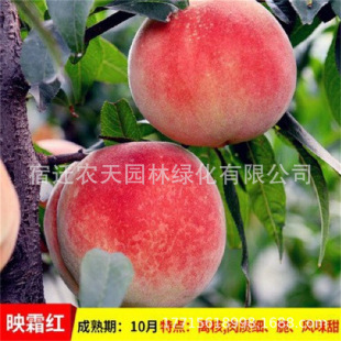 ����һ̖ˮ�����ش��Ҙ���޽������S���Ә��m�������Թ������