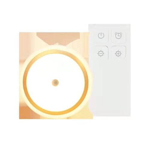 Creative new and unique smart remote control night light multi-speed adjustable timing USB charging gift cabinet light