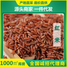 厂家批发500g装长粒红米 五谷杂粮红糙米饭原料厂家大量现货批发