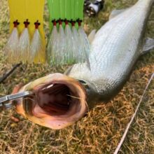 的疯狂查理幻彩冰丝虾翘嘴仿生串钩鱼钩冰丝钓组套装跨境工厂批发