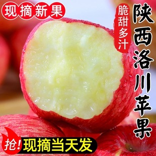 ����崨�����t��ʿ�O�����������rˮ���Fժ�F�l������@һ�����l