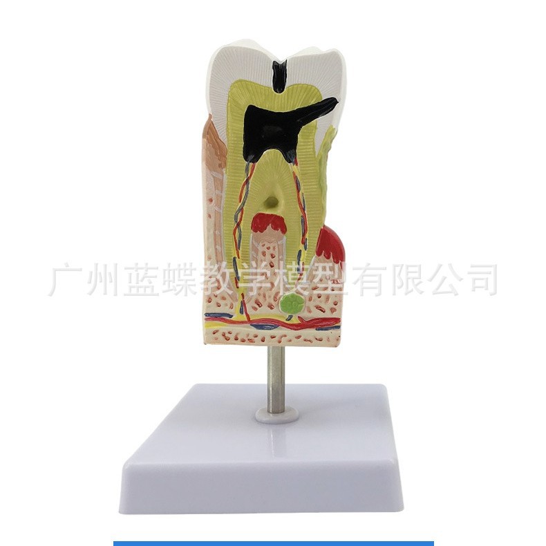 ����ģ�� ���ݲ��ۺϲ���ģ�� ���ݽ�������ģ�� ���� ҽ����ͨ