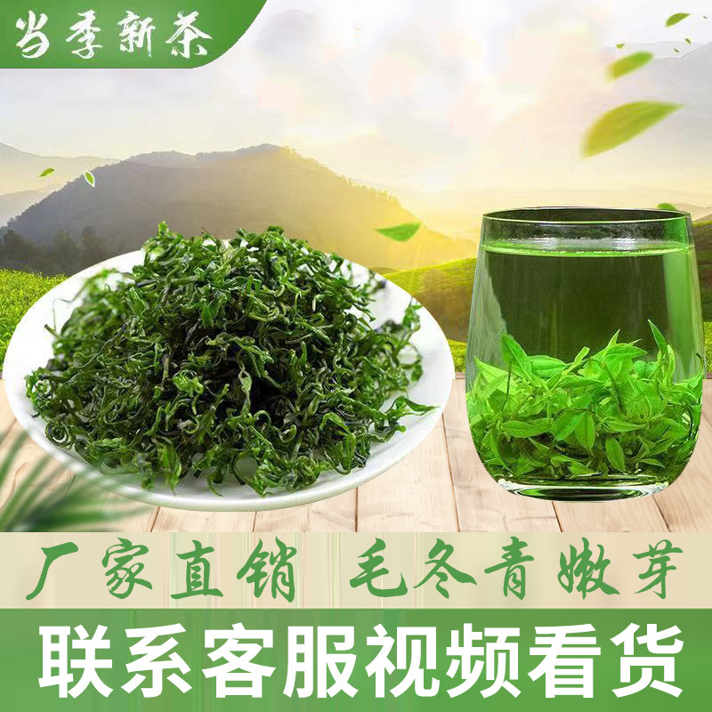 安诚厂家直销毛冬青嫩芽批发云南毛冬青茶包装小叶苦丁青山绿水茶