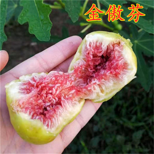 bb10�o���������Ϲ������˟o�����������Ա��Ϸ�ͥԺ�Nֲ����Y��