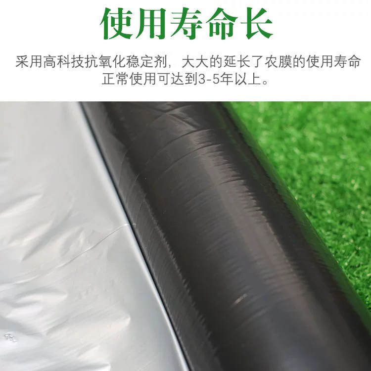 T ^ Сельскохозяйственная посадка серебряная черная пленка отражающие двухцветные пластиковые пленки фруктовые деревья фруктовые деревья теплоизоляция, увлажнение и утолщение