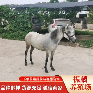 �T�˰��R���w ���ﰫ�R ���^�^�p���R������w�O���m���R �R�x