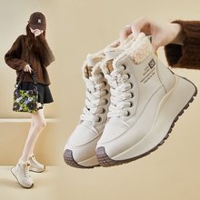 ϵWtWrɸ¸ߎЬƴɫe\Ь