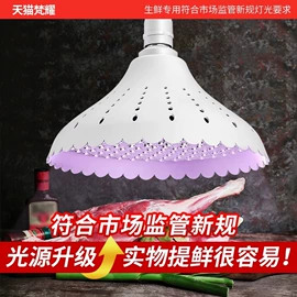 筒灯;LED灯带;射灯