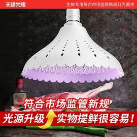 猪肉熟食店专用市场海鲜水果蔬菜卤菜卤肉新国标全光谱led生鲜灯