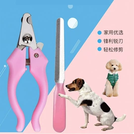 理发器;卷发/直发器;电动剃须刀