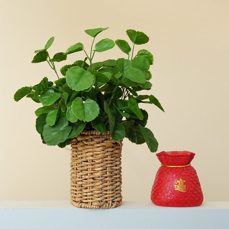 Simulation soft glue eucalyptus money potted plant decoration flower arrangement green plant apple leaf single home decoration plant ornaments