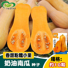 �Ѓ������ϹϷN�� �ˈ@�r����Ŵ����С�ϹϷN�� �����׷N�߲���