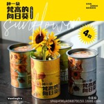 小花农种植向日葵 迷你小盆栽学生礼物趣味花盆 厂家直发节日礼品