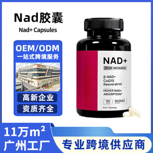 �羳���R�dtk���NNad+ Capsules��޼�J���z��Ů��nad���Ʊ���Ʒ