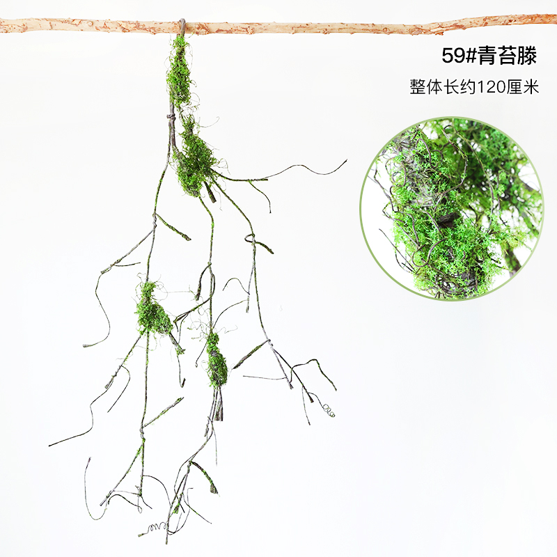 59# Moss Teng-dry branches