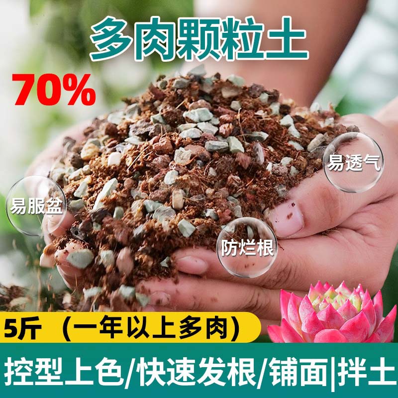 Succulent soil [70% particles] 2.5kg