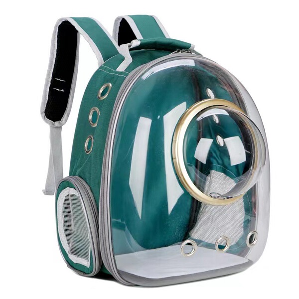 Space handheld bag to go out