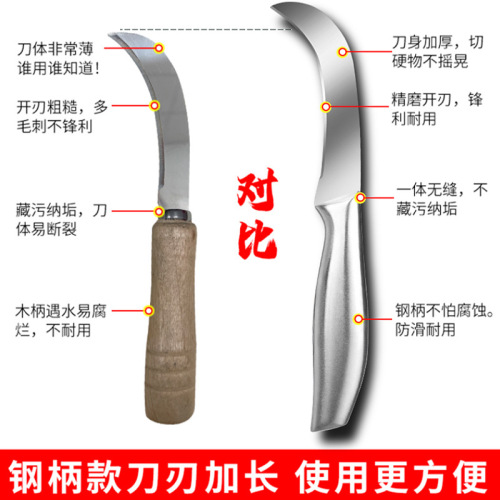 German stainless steel curved knife fruit knife for cutting bananas, mangos, pineapples, and dragon fruits, specifically designed for dedicated use with distribution and wholesale.