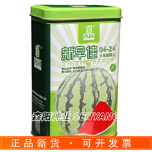善高新早佳84-24大果麒麟瓜早熟圆球型抗病高产花皮西瓜美都西瓜