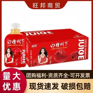ɽ高��¹ڷ�350ml*15ƿ�b��ζ�Ʒ��֭�F؛�ە��������l��Y���
