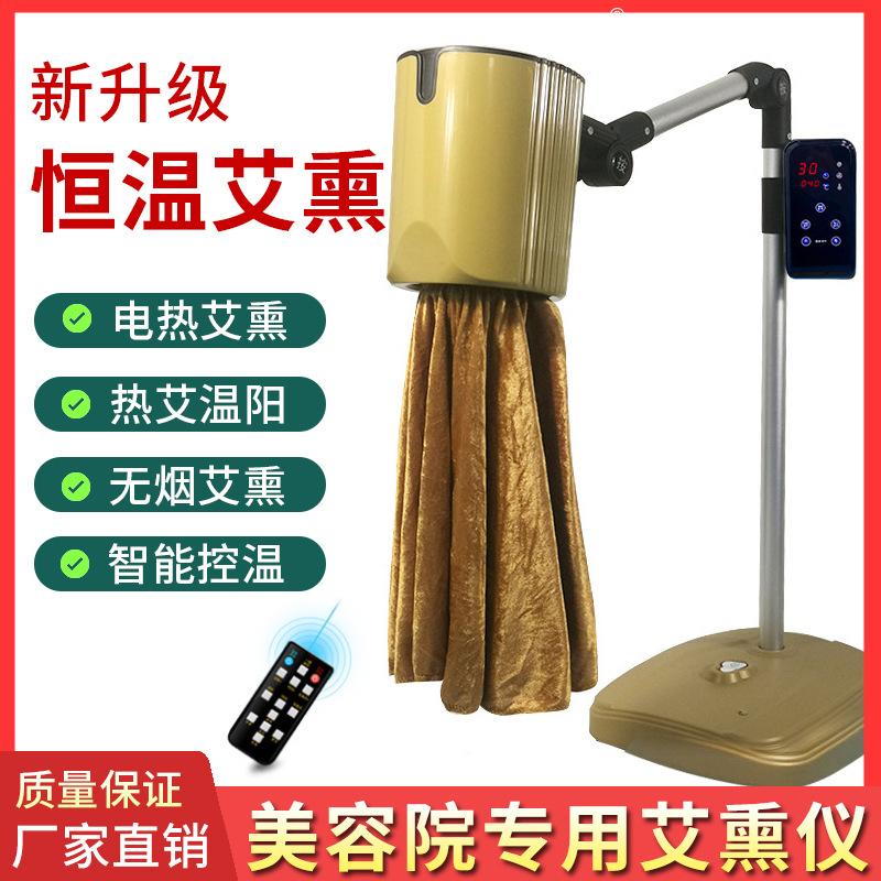 艾熏仪器家用电子无烟理疗仪养生仪器温熏熏蒸仪美容院立式悬熏仪|ru