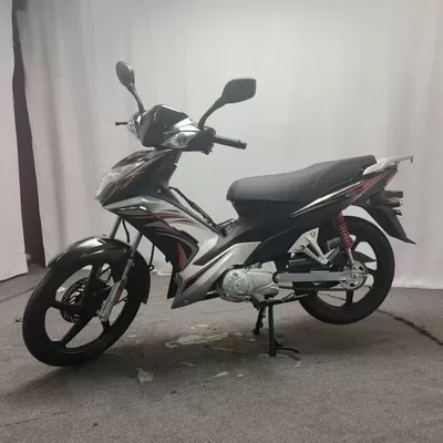 High-Power Climbing King Motorcycle, Motosikletlər