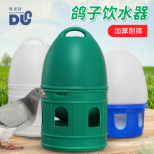 鸽子饮水器 1L-10L信鸽鹦鹉大容量赛鸽自动饮水器 加厚信鸽用品