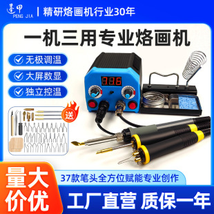 Professional Pyrography Machine with Adjustable Temperature for Wood Burning, Gourd Wood Board Pyrography Tool, Pen Electric Soldering Iron