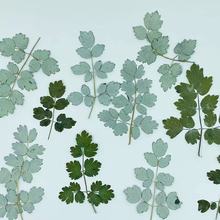 ���ɲ������~ֲ��˱������ɻ��ֹ������N������~���z���|���