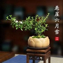 ��߅����ѩ����С������������_���Ϙ��U���辰�����k���҃Ȼ���