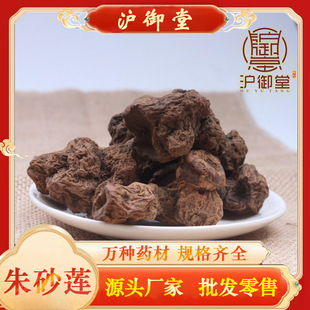 ���l��ș�� �tș�� ��ș �t���� ��ɰɏ ��ݹ