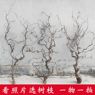 �U���֦�[����������ԭľ���bڒ��ֲ���������֦�ָб���