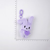 Cartoon soft plush rabbit, brand keychain, bag, transport, South Korea