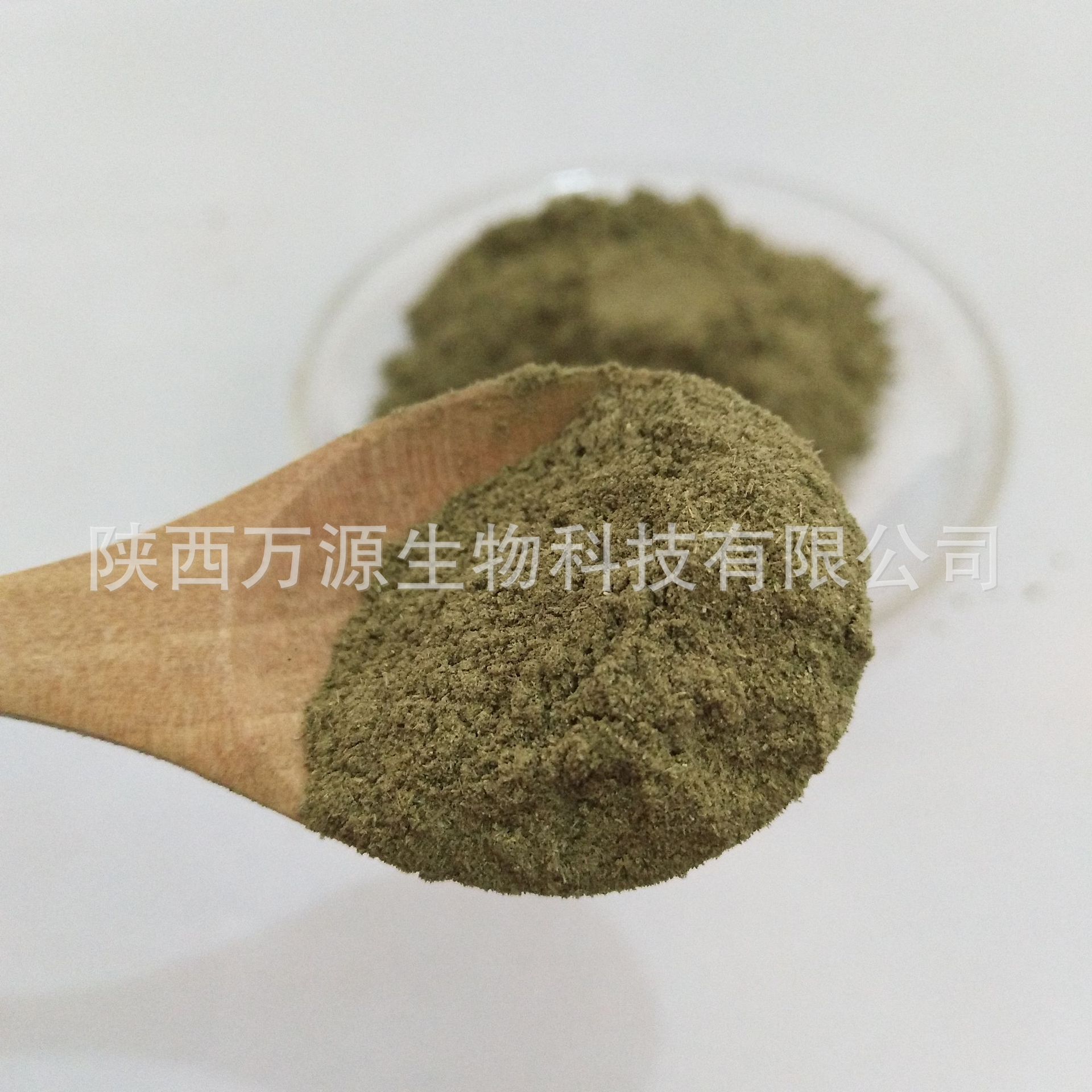 荆芥粉 荆芥干原料 荆芥