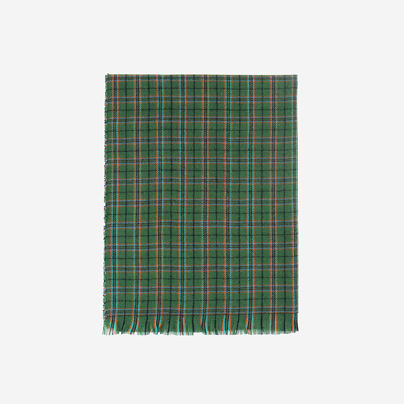 Sciarpa a quadri Scialle coreano verde vegetale in salamoia da donna Versatile di alta qualità Collo caldo spesso_voghion.com