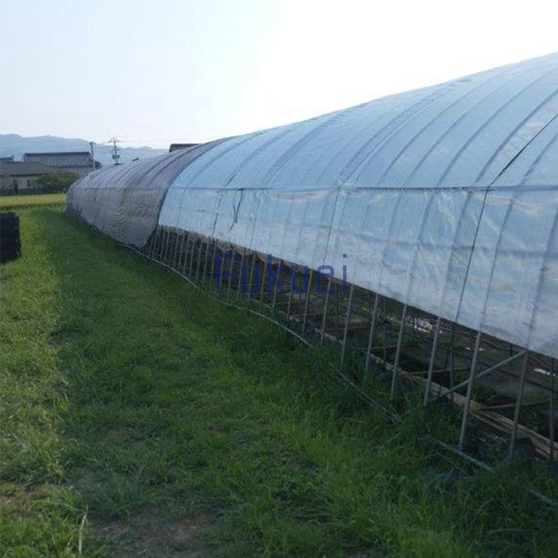 玄農舎・青天井試験展張②