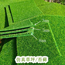 仿真草坪青苔微景观DIY装饰材料人工假苔藓户外地毯绿植配件批发