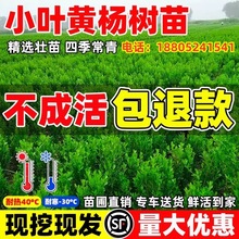 С~SSͥԺhʾGUS~S