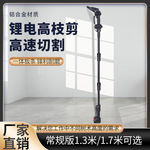 家用高枝锯电动工具电链锯电锯充电式大功率锂电锯高枝杆手电锯