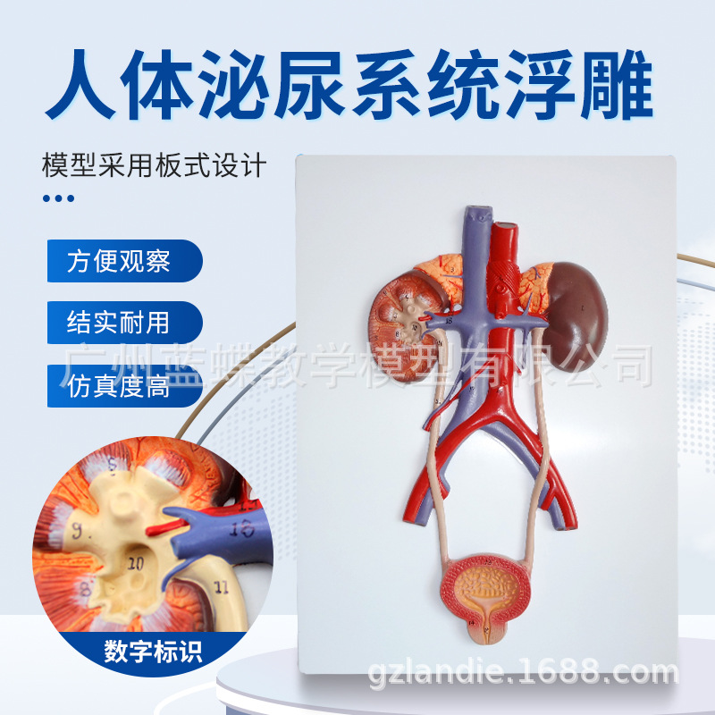 ��������ϵͳģ�� �� ����� �������ģ�� ҽѧ�����(����)