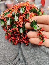 ̨����ؔ�V�M������ײ˔[����ؔͯ�ӿ��R���^�b�Ʒ������ˇƷ